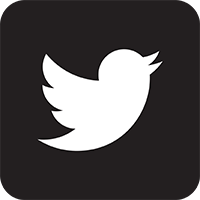 Image of Twitter Logo